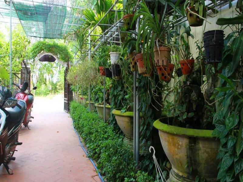 Leaf Homestay Хой Ан Екстериор снимка