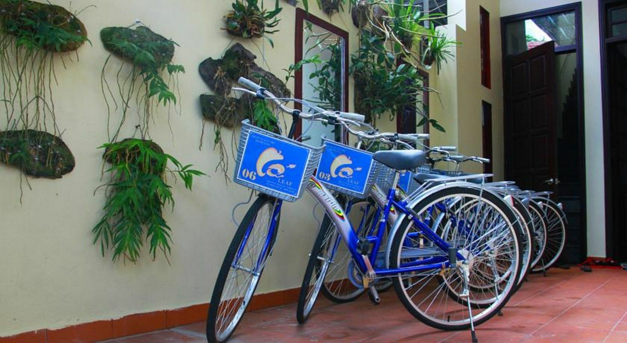 Leaf Homestay Хой Ан Екстериор снимка